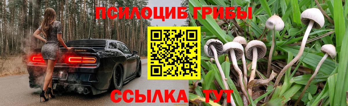 Псилоцибиновые грибы мухоморы  Галлюциногенные грибы Psilocybine cubensis  Вход с VPN  Россия 