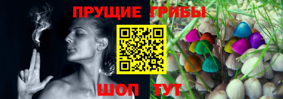 Галлюциногенные грибы Psilocybe Россия
